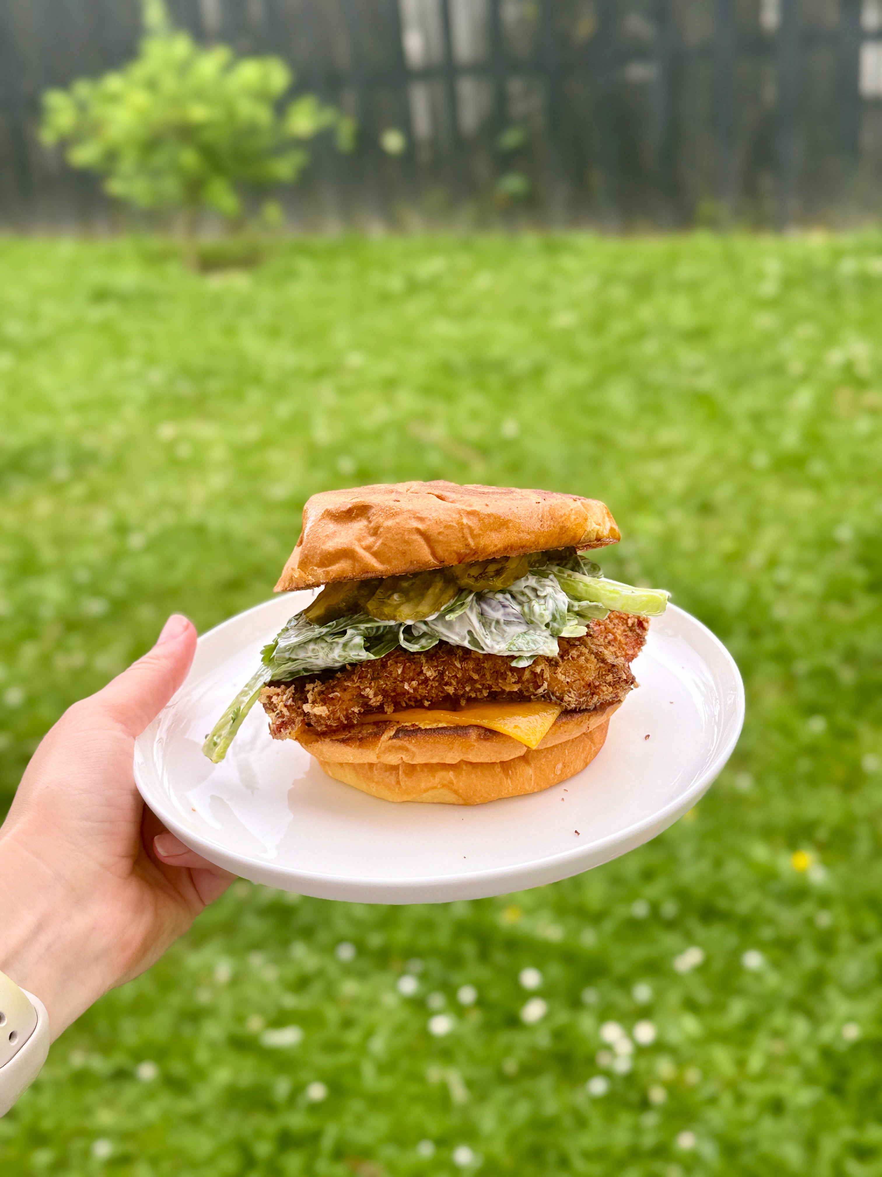 Crispy Chicken Burger